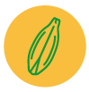 cebada · semillas
