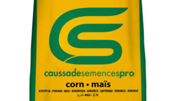 saco caussade
