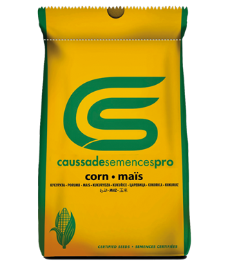 saco caussade